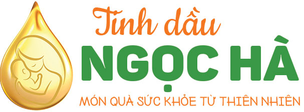 Tinh dầu Ngọc Hà tortevalcheese