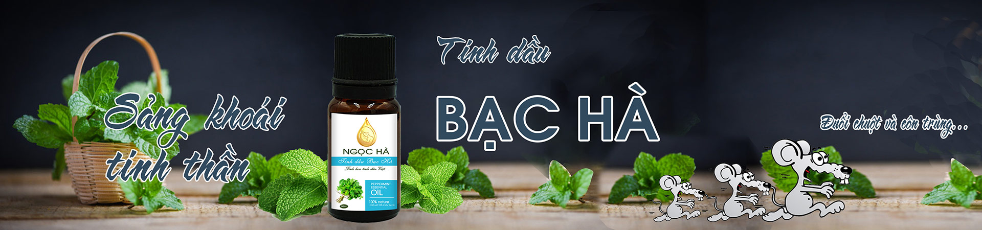 Baner tinh dau bac ha 01